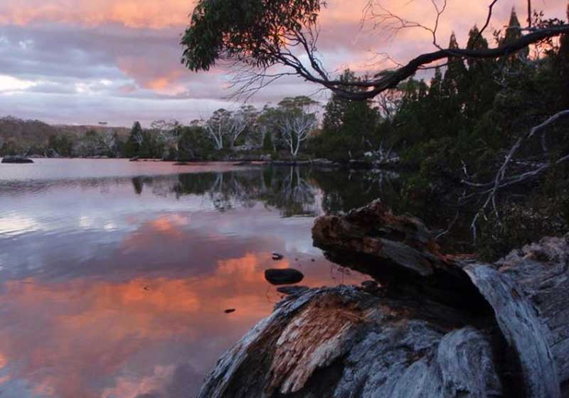 Great Walks in Australia & New Zealand: Coastal Strolls, Rainforest Trails and Alpine Adventures
