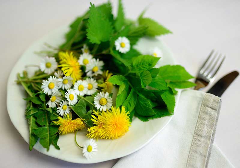Edible Flowers: How to Use Blooms to Elevate Salads, Desserts, Drinks & More