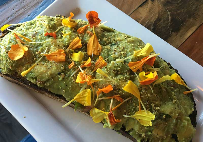 Edible Flowers: How to Use Blooms to Elevate Salads, Desserts, Drinks & More