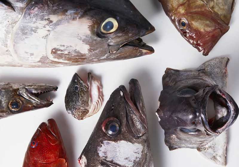 Compost Is the New Caviar: How Top Restaurants Turn Waste into Luxury