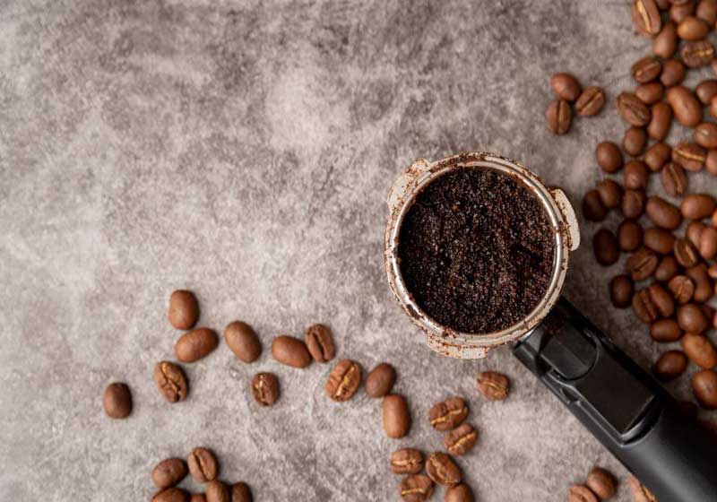 Compost Is the New Caviar: How Top Restaurants Turn Waste into Luxury