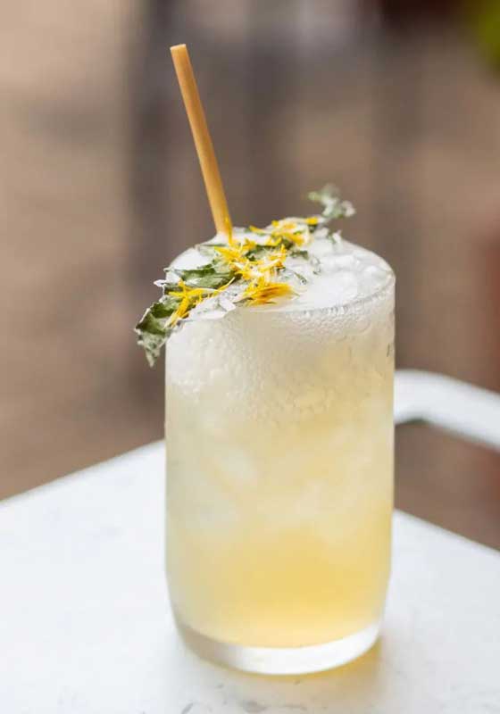 Garden to Glass: The Rise of Botanical Cocktails