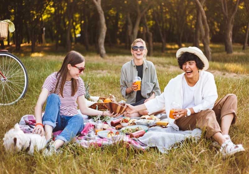 5 Essential Picnic Accessories for Summer: Must-have Gear for Easy Outdoor Feasts