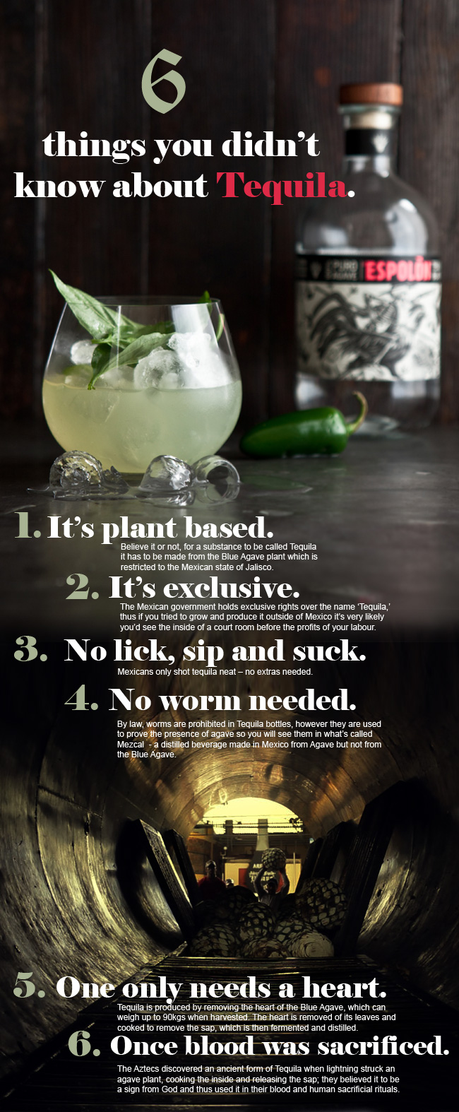 6 Things You Didn't Know About Tequila 1