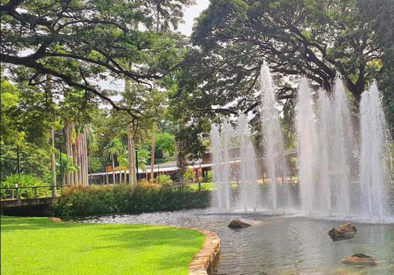 Botanic Dining in Australia: The Best Restaurants in City Botanic Gardens