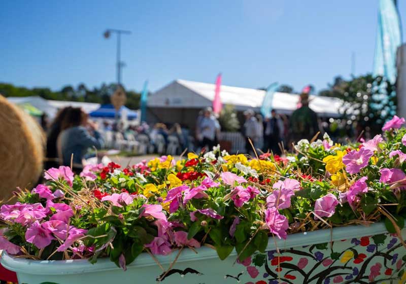 Australian Garden Festivals 2026: Dates, Highlights & Must-Visit Blooms Across the Country