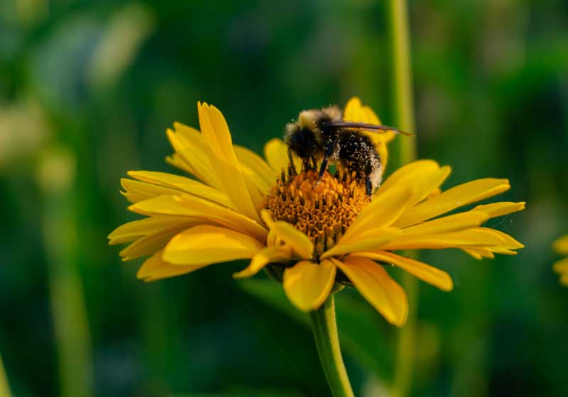Garden of Earthly Delights: The Sensuality of Seasonal Cooking
