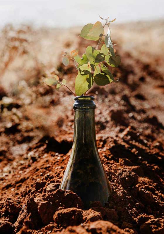 Tread Softly Celebrates 3 Million Trees with a Once-in-a-lifetime Antarctic Adventure