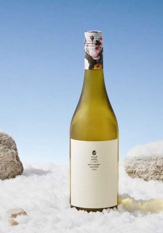 Tread Softly Celebrates 3 Million Trees with a Once-in-a-lifetime Antarctic Adventure