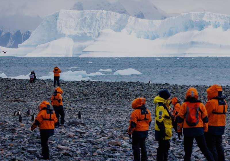 Tread Softly Celebrates 3 Million Trees with a Once-in-a-lifetime Antarctic Adventure