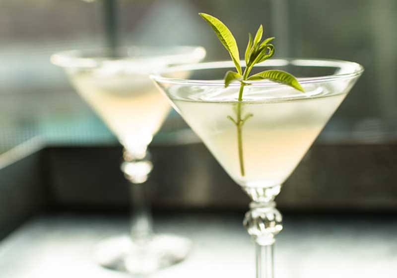 A Very Garden Christmas: How to Host an Australian Summer Lunch in Full Bloom