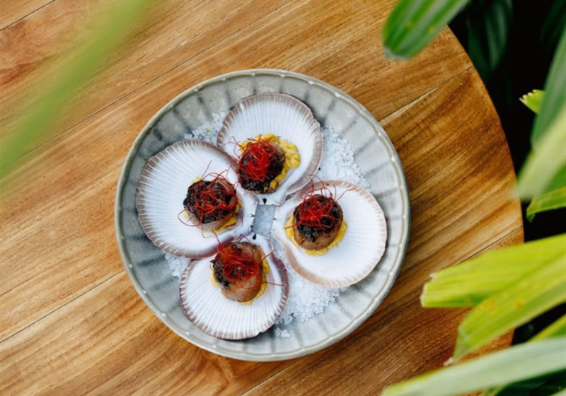 Savour the Flavours: Exploring Bold Modern Australian Dining