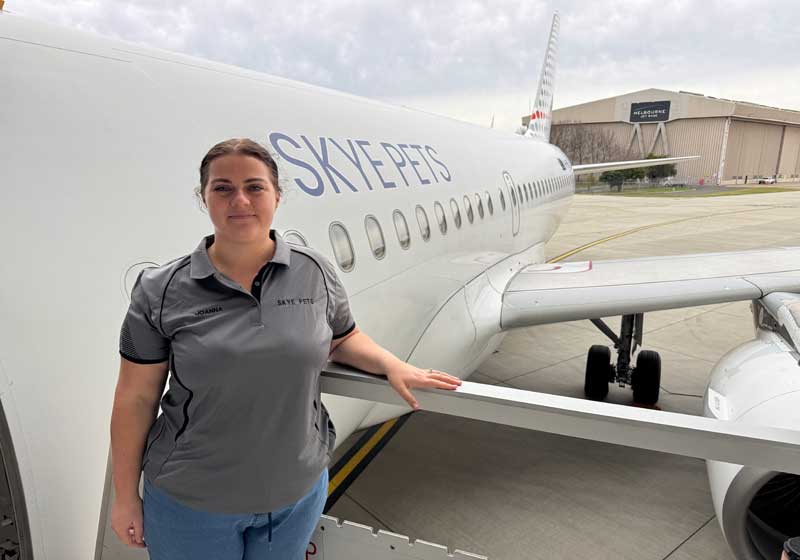 Virgin Australia Pets in Cabin Flights: 6 Expert Questions to Ask Before You Fly With Your Pet