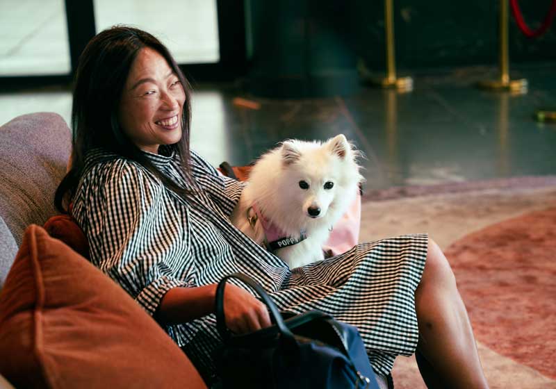 Virgin Australia Pets in Cabin Flights: 6 Expert Questions to Ask Before You Fly With Your Pet