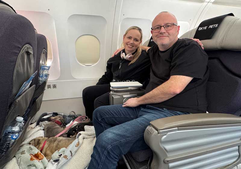 Virgin Australia Pets in Cabin Flights: 6 Expert Questions to Ask Before You Fly With Your Pet