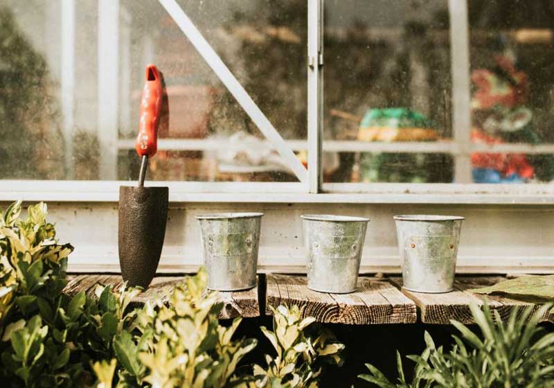 Urban Garden: How to Grow a Perfect Garden on Your Windowsill