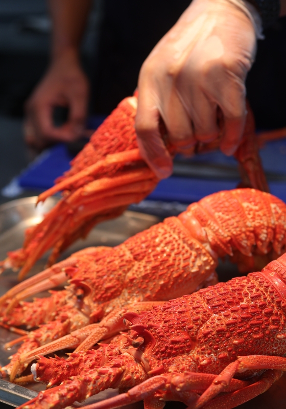 Passed Down the Table: From Burnout to Belonging, One Lasagna at a Time