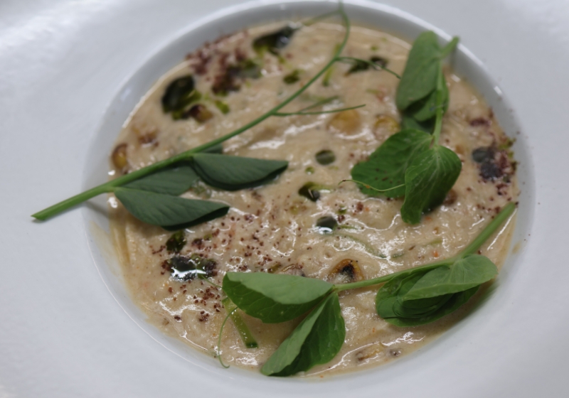 Passed Down the Table: From Burnout to Belonging, One Lasagna at a Time