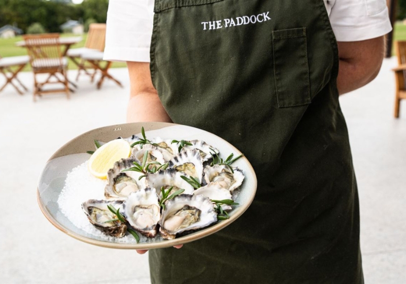 The Art of Fine Dining: Elegant Culinary Journeys