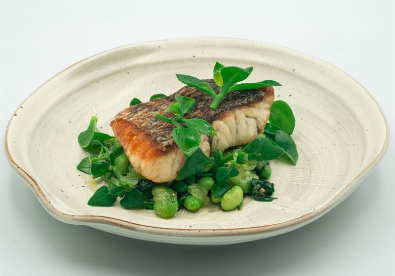 A Culinary Voyage Through Queensland: Discovering the Flavours of the Sunshine State