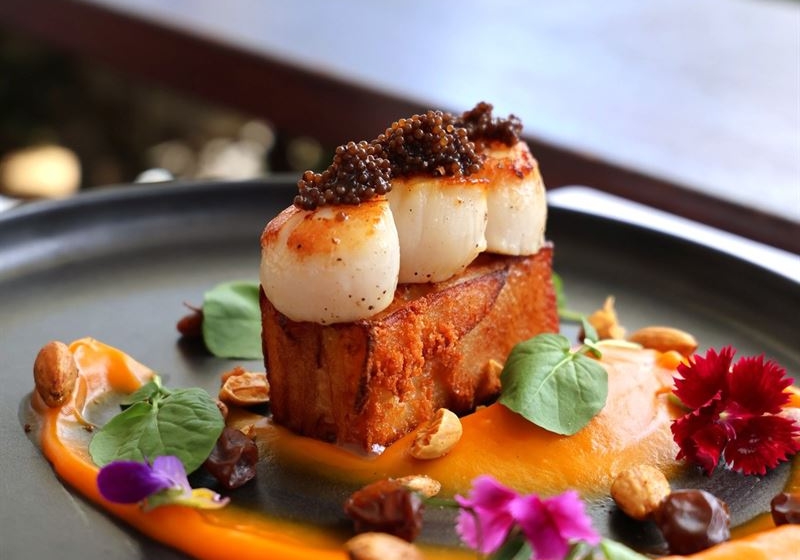 Intimate Moments: The Best Private Dining Experiences