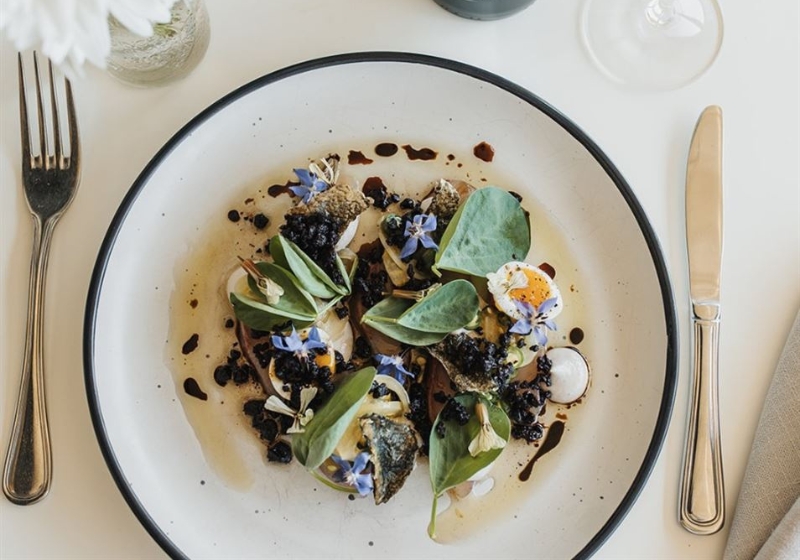 Culinary Escapades: Exploring South Australia's Best Dining Experiences