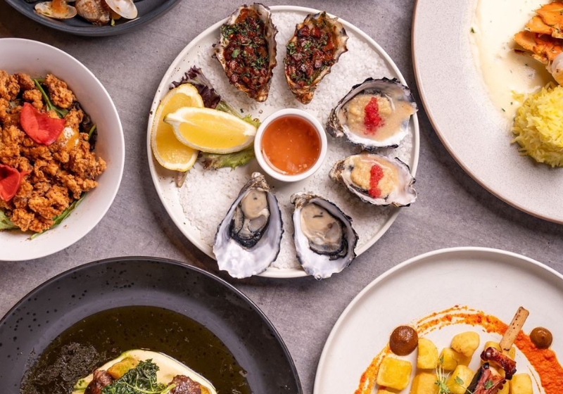 Modern Plating Magic: The Art of Food as Canvas