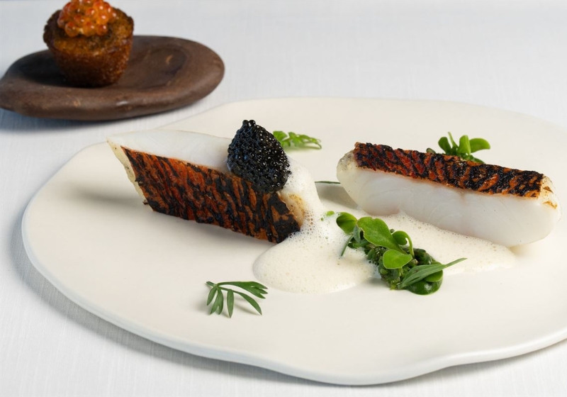 Plating Perfection: Australia’s Culinary Artistry Unleashed