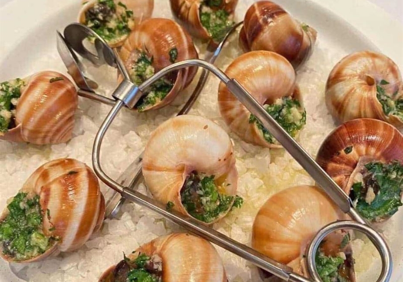 Impressive Culinary Journeys: Explore Chef's Choice Menus