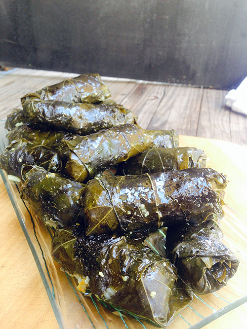 Masterclass: Dolmades  1