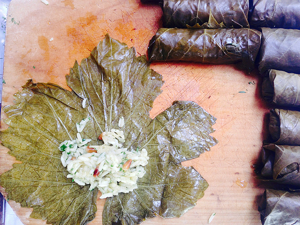 Masterclass: Dolmades  5