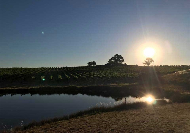 Chasing the Sun: Stunning Venues to Catch the Golden Hour