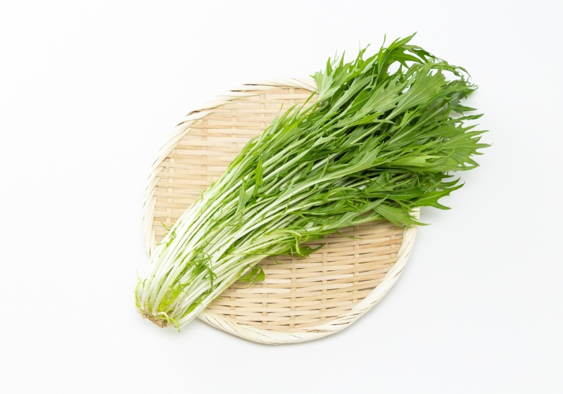 The Wild Side to Japanese Vegetables