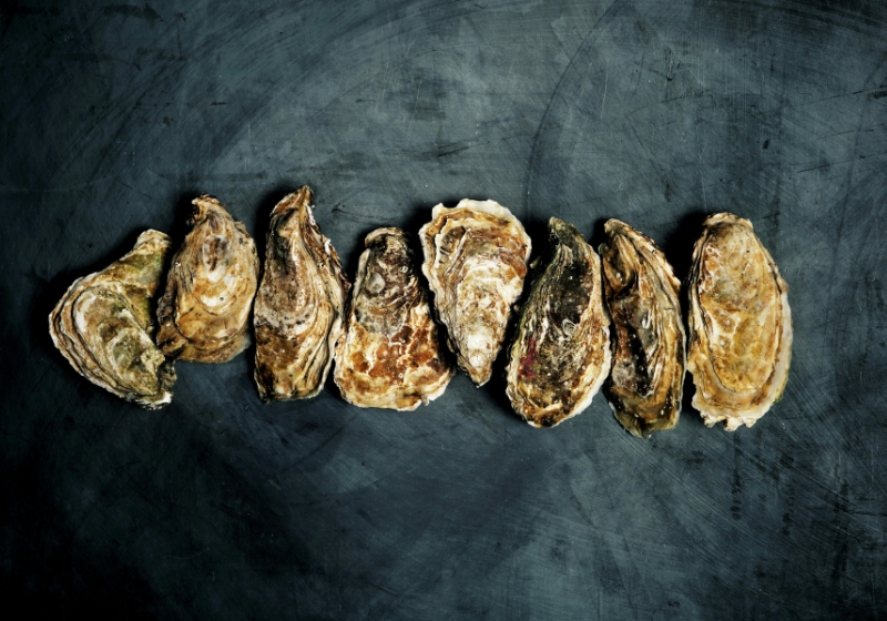 The Quiet Sophistication of Whisky and Food Pairings