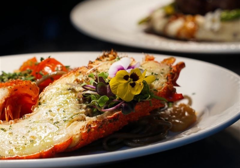 Savouring the Everyday: Elevated Dining Experiences Across the Nation