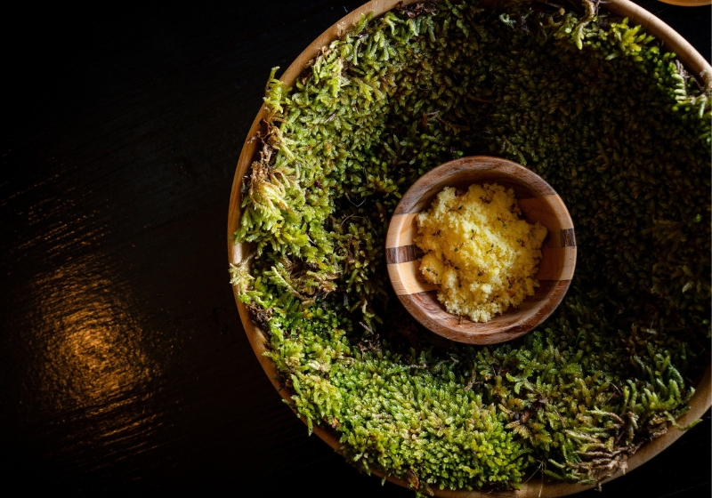 The Next Generation of Chefs Redefining Australian Cuisine