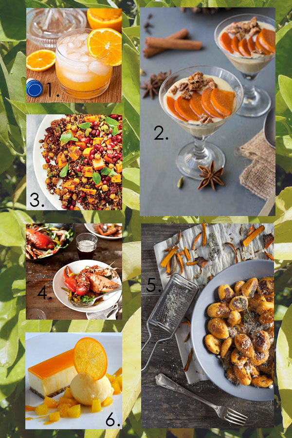 Our Top Six Favourite Orange Recipes