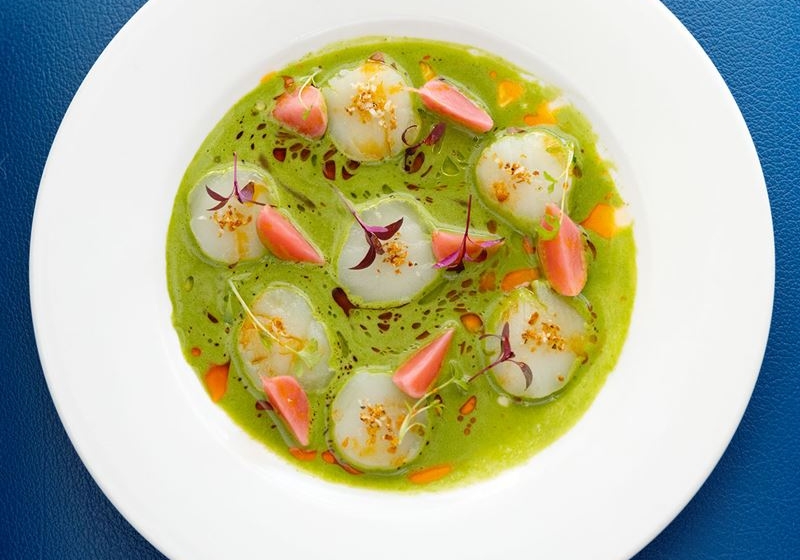 Sydney's Culinary Gems: A Guide to Dining Adventures