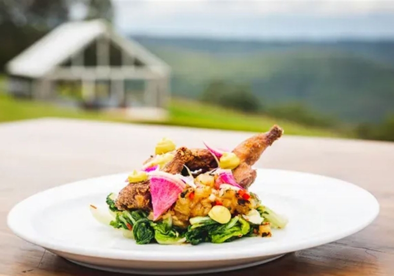 From Vine to Glass: Wineries Defining Australia’s Wine Regions