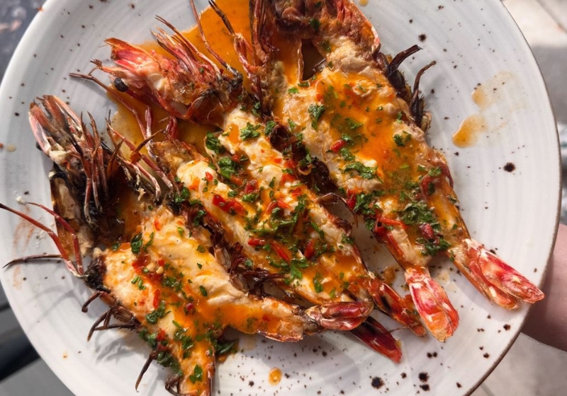 Dive into the Best Seafood Experiences Across Australia