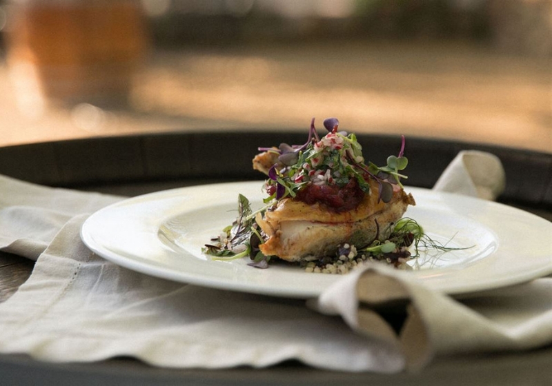 Harvesting Flavours: Menus That Celebrate the Season