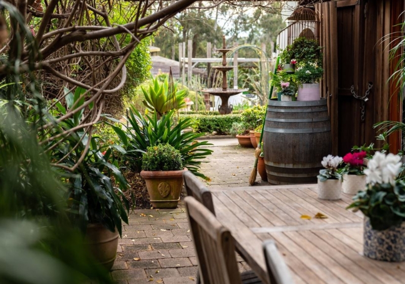 Gather Round: The Best Restaurants for Group Dining
