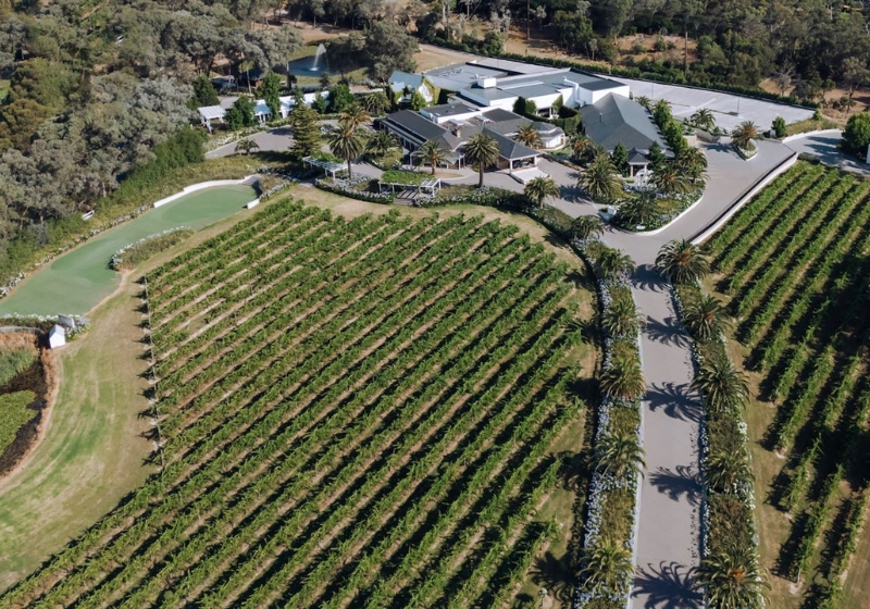 Sip and Savor: Dining with a View Across Scenic Vineyards