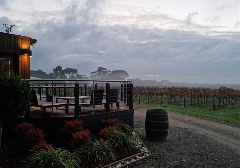 Sip and Savor: Dining with a View Across Scenic Vineyards