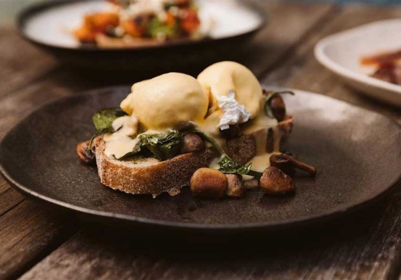 Dining Excellence: Discover Five Restaurants That Do It All