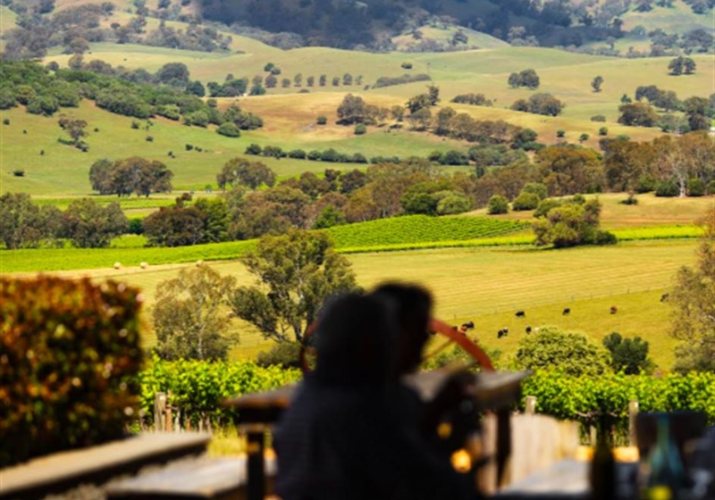 Indulge in Dining Worth The Hype: A Journey Through Australia’s Culinary Gems
