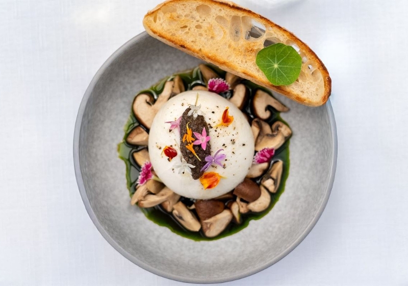 Elevating the Plate: Discovering Exquisite Dining Experiences
