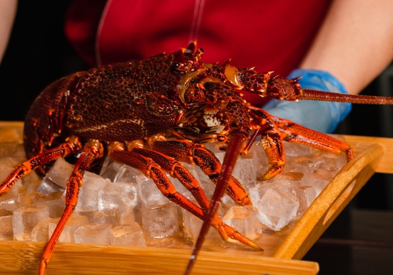 Redefining the Table: Modern Australian Dining Experiences