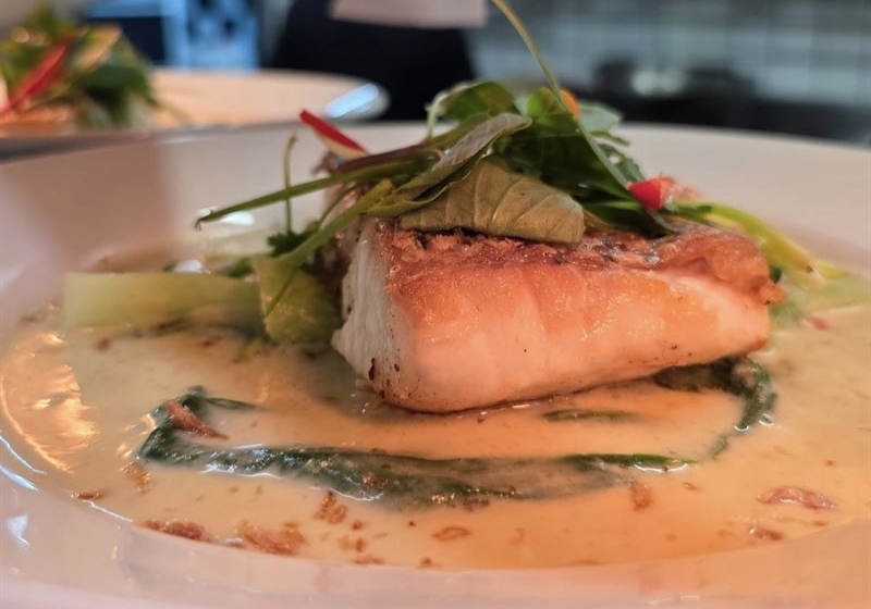 Embark on a Culinary Journey through Mod Aus Dining