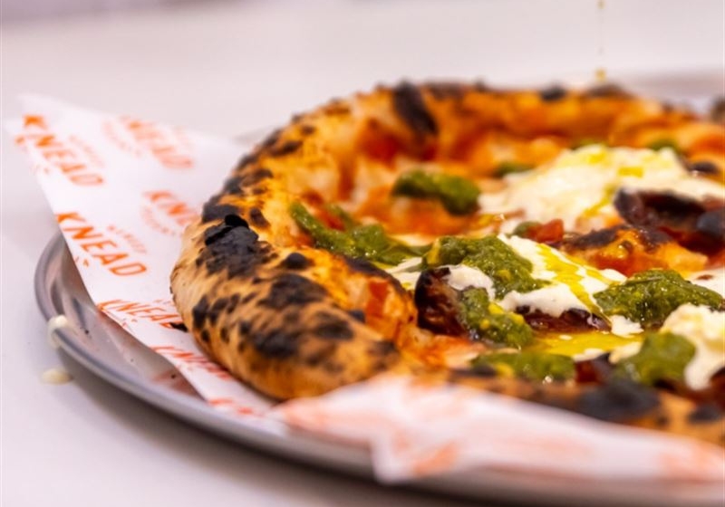 Embers of Taste: Discovering the Charms of Wood-Fired Cuisine